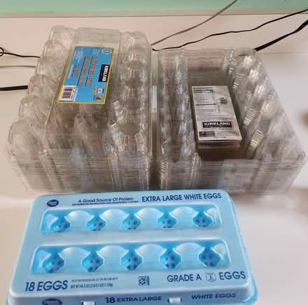 Photo of free Empty egg cartons, 24 eggs and 18 (Farmington Hills) #1