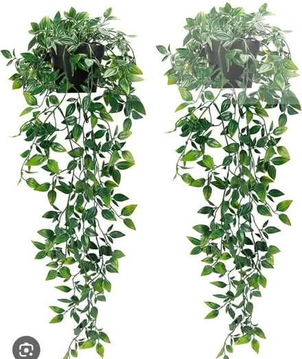 Photo of Hang over fake plants. (Ewloe Green CH5) #1