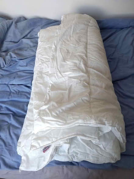 Photo of free King size duvet 1 tog (Stirling FK9) #1