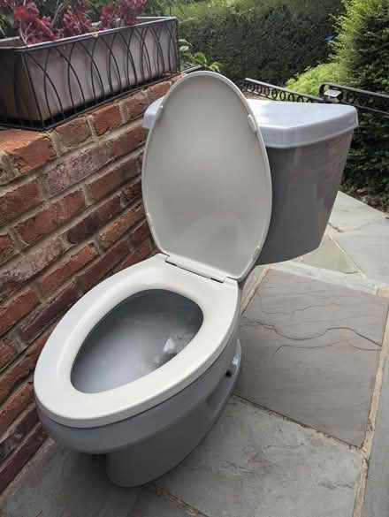 Photo of free Kohler Gray elongated toilet (Near mosaic elementary School) #2