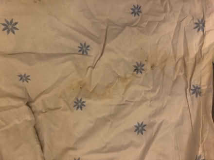 Photo of free Curtains (Hitchin SG4) #2