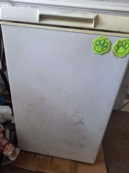 Photo of free Chest Freezer for animals (Seaside BN22) #3