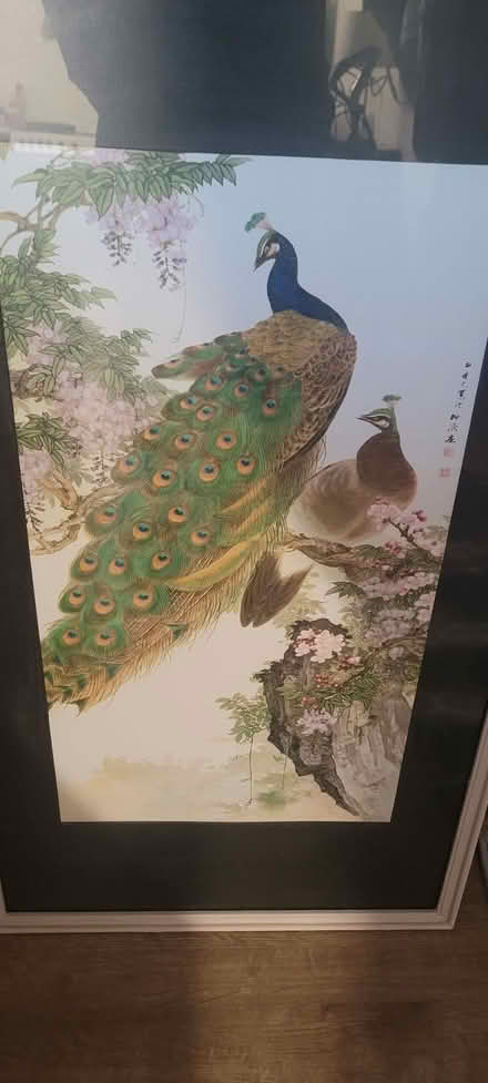 Photo of free Large peacock picture (Temple Cowley OX4) #1