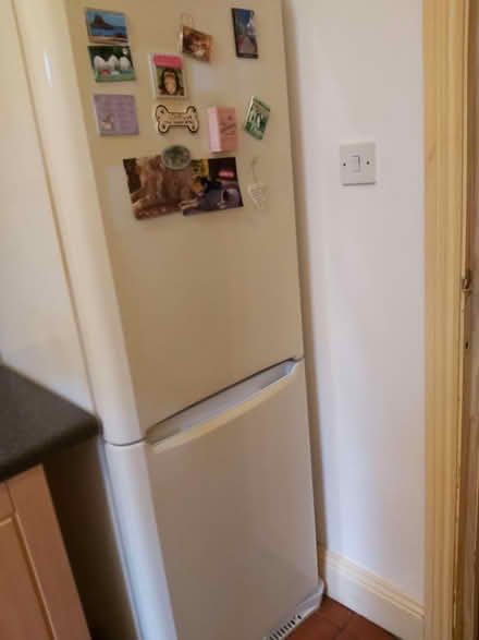 Photo of free Fridge freezer (YO11 Falsgrave area) #1