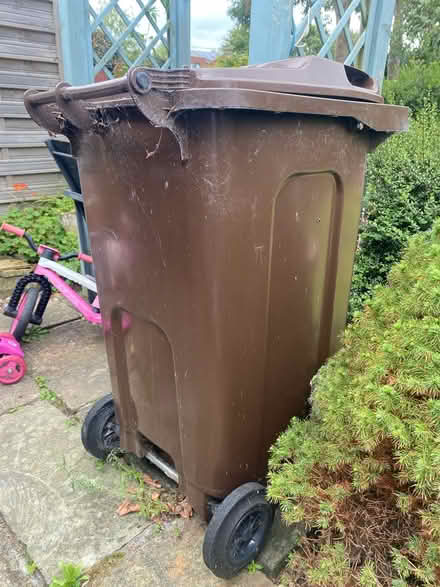 Photo of free Brown bin (Wisewood S6) #1