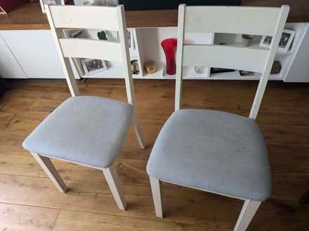 Photo of free Dining chairs (Hove BN3) #1
