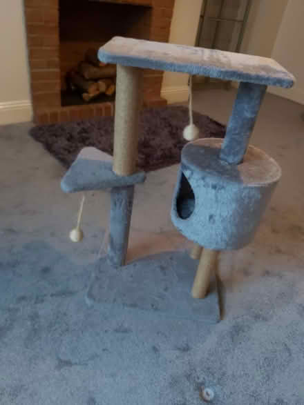 Photo of free Cat tower (YO11 Falsgrave area) #1