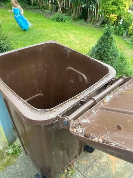 Photo of free Brown bin (Wisewood S6) #2
