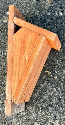 Photo of free Bird Nesting Box (Treecreeper) (Rose Hill OX4) #1