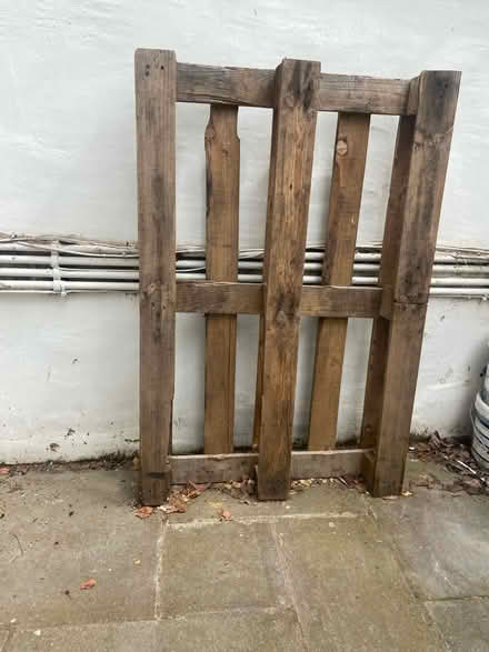 Photo of free Wood Palette (NW6 3LU) #1