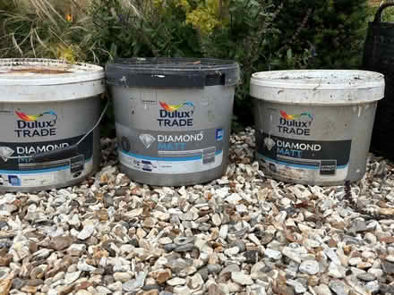 Photo of free Dulux base paint (OX2) #1