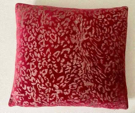 Photo of free Velvet Red cushions X 4 (Surbiton KT6) #2