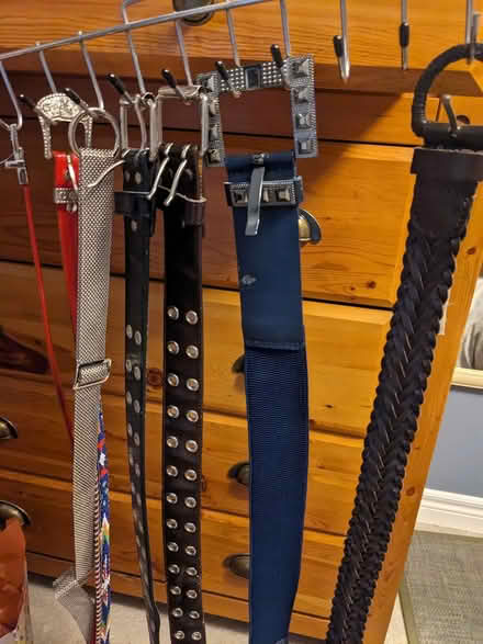 Photo of free ladies belts (Don Mills and Steeles) #1