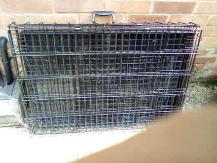 Photo of free Large Dog crate (Robertsbridge TN32) #1