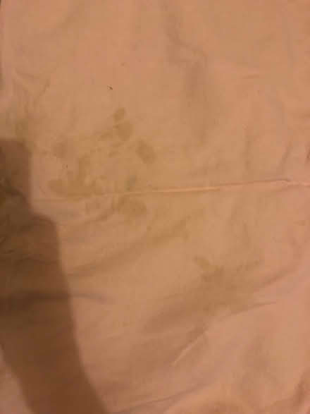 Photo of free Small brushed cotton sheet (Hitchin SG4) #2
