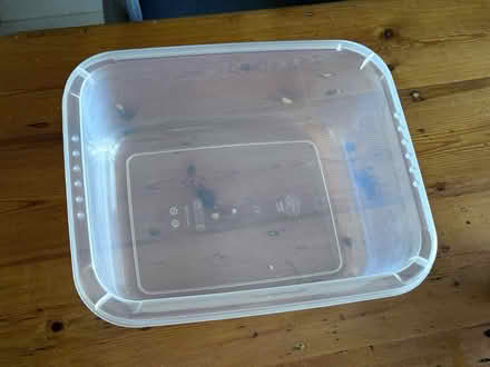 Photo of free Brand new. Clear washing up bowl 9L (KT3 New Malden) #2