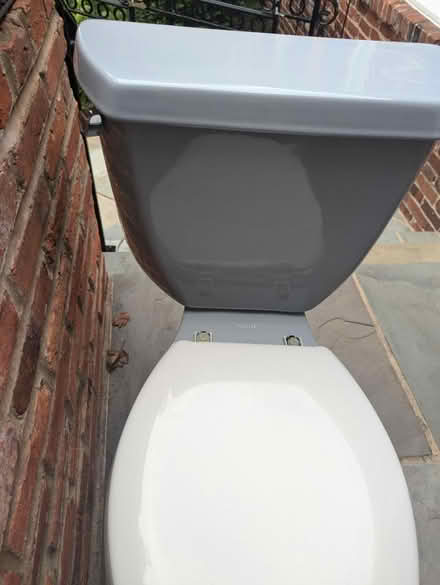 Photo of free Kohler Gray elongated toilet (Near mosaic elementary School) #1