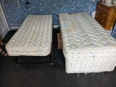 Photo of free Single/double bed (Leicester Forest East LE3) #2