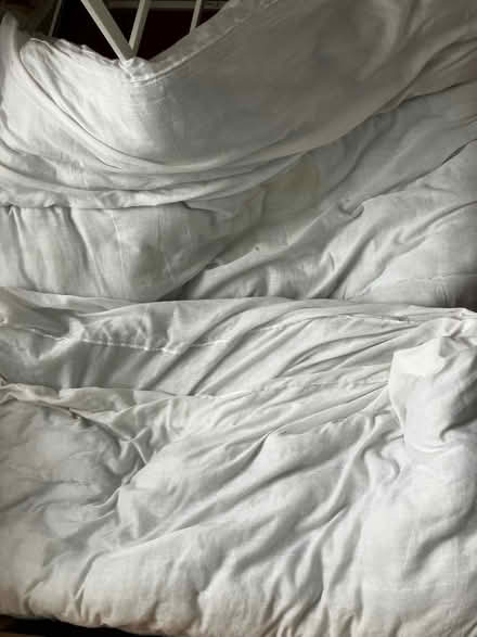 Photo of free Double duvet and two pillows (SW20) #1