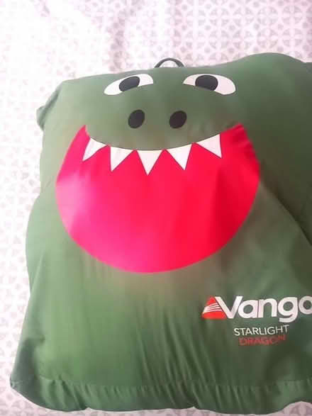 Photo of free Kids dragon sleeping bag (Wivenhoe CO7) #1