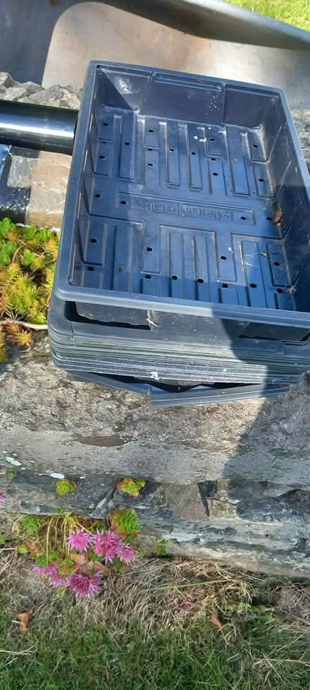 Photo of free seed trays (Builth Wells) #1