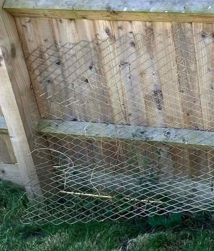 Photo of free Wire Fencing (North Abingdon OX14) #2
