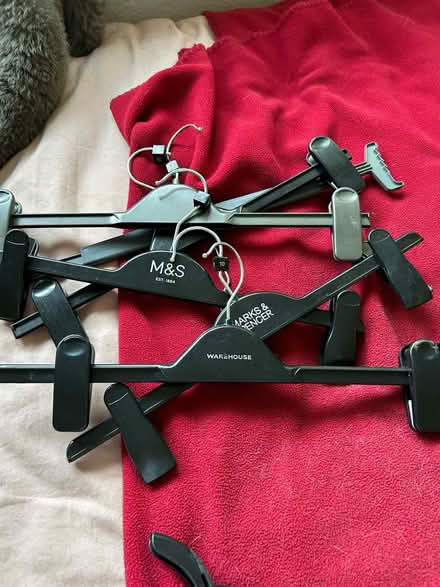 Photo of free Plastic coat hangers (Chiswick W4) #3