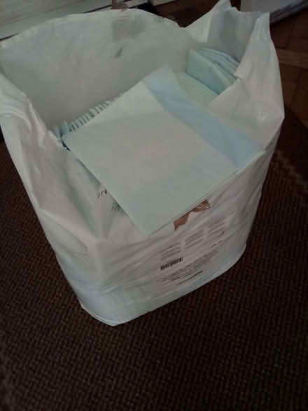 Photo of free Puppy training pads (Robertsbridge TN32) #1