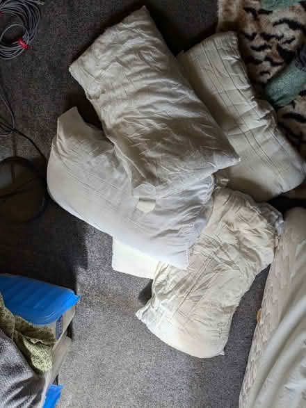 Photo of free 5x pillows (Comiston EH10) #1