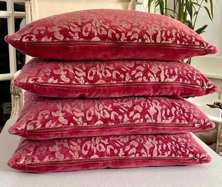 Photo of free Velvet Red cushions X 4 (Surbiton KT6) #1