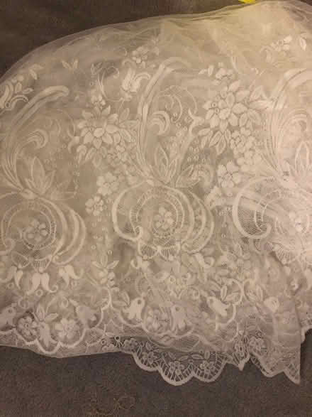 Photo of free Net curtain (Hitchin SG4) #1