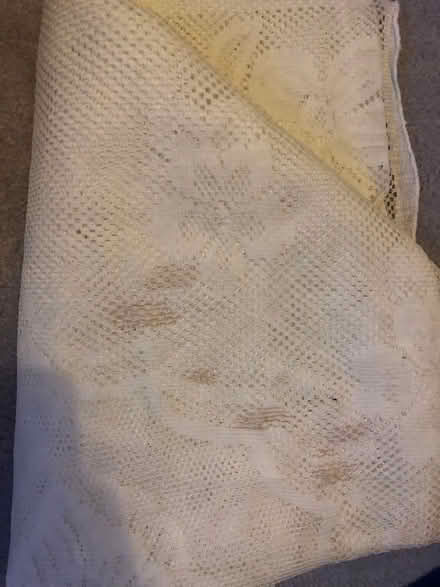 Photo of free Lace table cloth (Hitchin SG4) #2