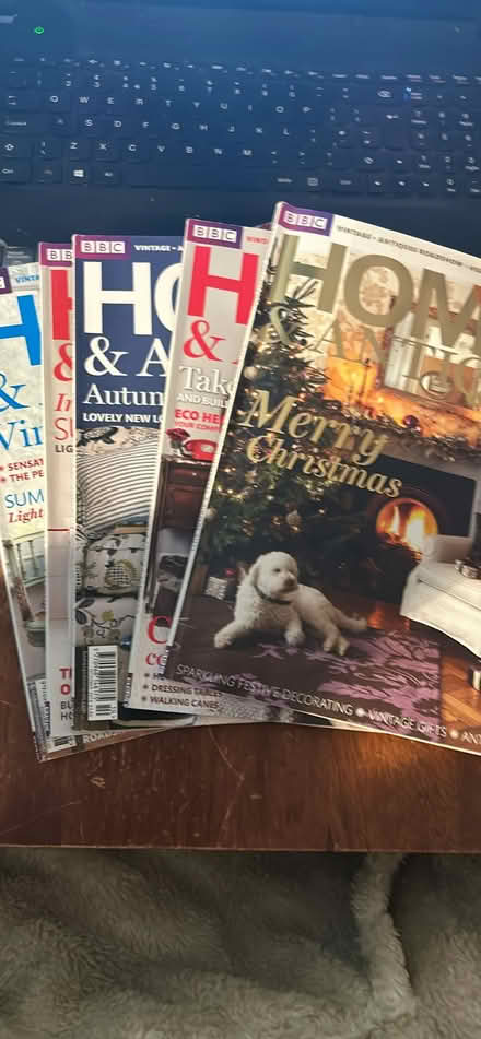 Photo of free 2010 home and antiques magazines (HP1 Hemel Hempstead) #1