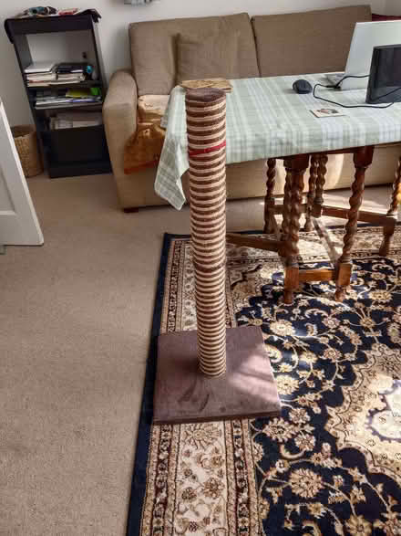 Photo of free Cat Scratching Pole (Fort Pitt ME1) #1