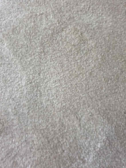 Photo of free Beige natural piece of carpet (Kenley) #2