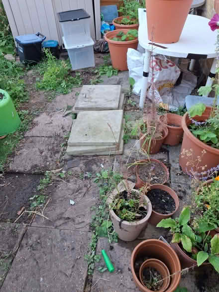 Photo of free paving stones (Doddinghurst CM15) #2