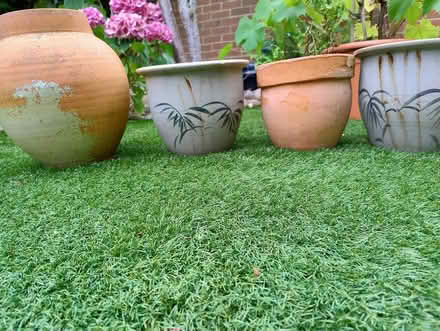 Photo of free Four used plant pots (LU7 Leighton Buzzard) #2