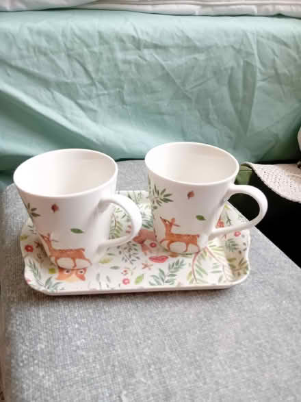 Photo of free Two small china mugs and melamine tray (Dunchurch CV22) #1