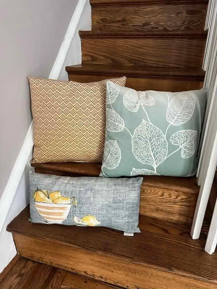 Photo of free Outdoor pillows (Near Henderson High School) #1