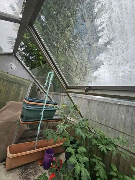 Photo of free Greenhouse (Burghfield Common (RG7)) #4