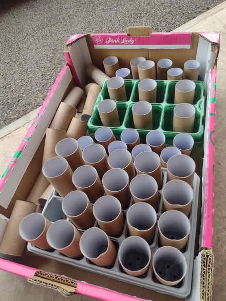 Photo of free Seed trays and clean toilet rolls (Warwick CV34 6) #2