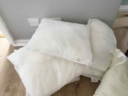 Photo of free Cushion inserts (Llandudno) #1