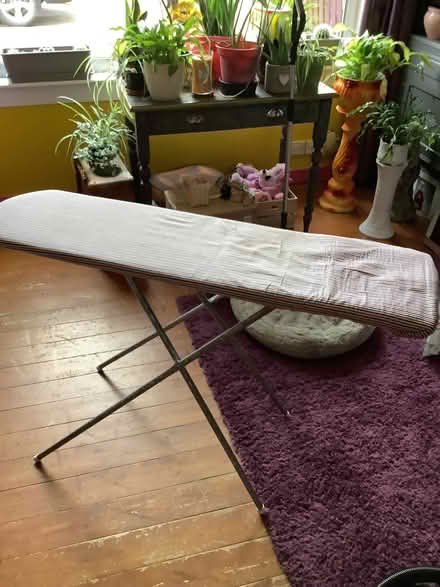 Photo of free Ironing board (Gracemount EH17) #3