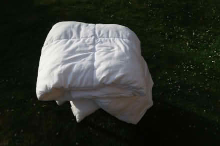 Photo of free Duvet (Shenfield CM15) #1
