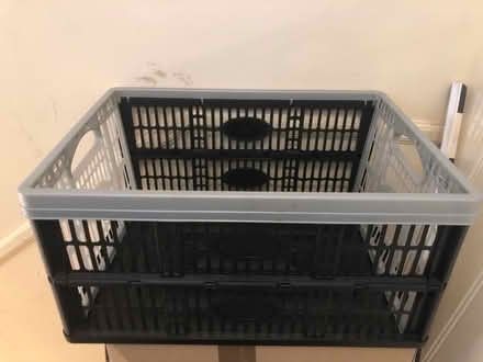 Photo of free Collapsible storage x 4 (Blacklands TN34) #1