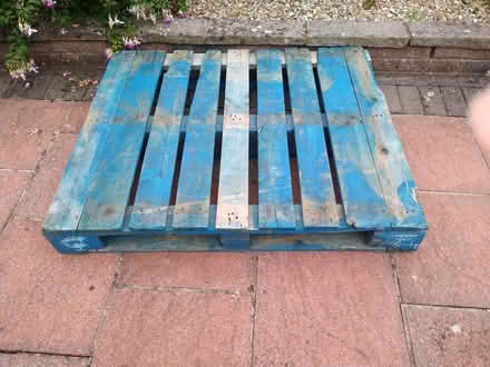 Photo of free Wooden pallet (Portishead BS20) #1