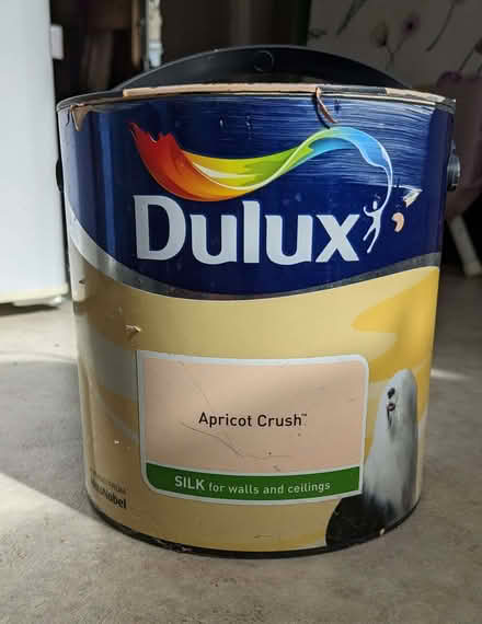 Photo of free Paint (Abraham Heights LA1) #1