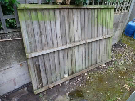 Photo of free Fence Panel – Feather Edge (Cookhill B49) #2