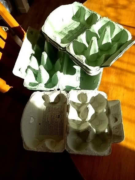 Photo of free Empty Egg Boxes (St Nicholas SG1) #1