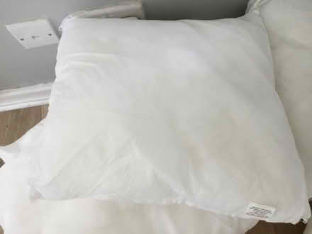 Photo of free Cushion inserts (Llandudno) #2